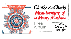 Misadventure of a Meaty machine