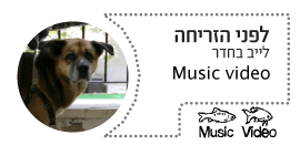 לפני הזריחה לייב בחדר music video