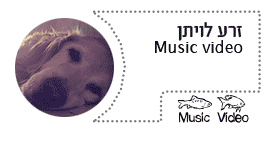 זרע לויתן music video